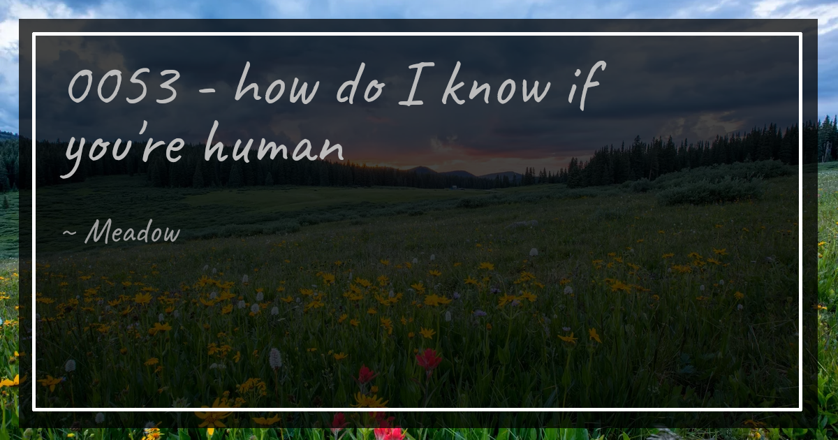 0053 - how do I know if you