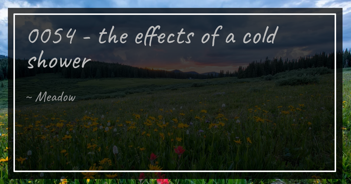 0054 - the effects of a cold shower