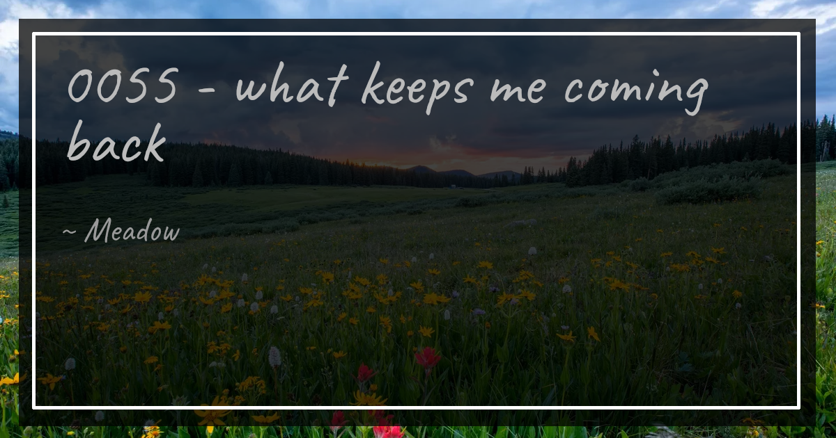 0055 - what keeps me coming back