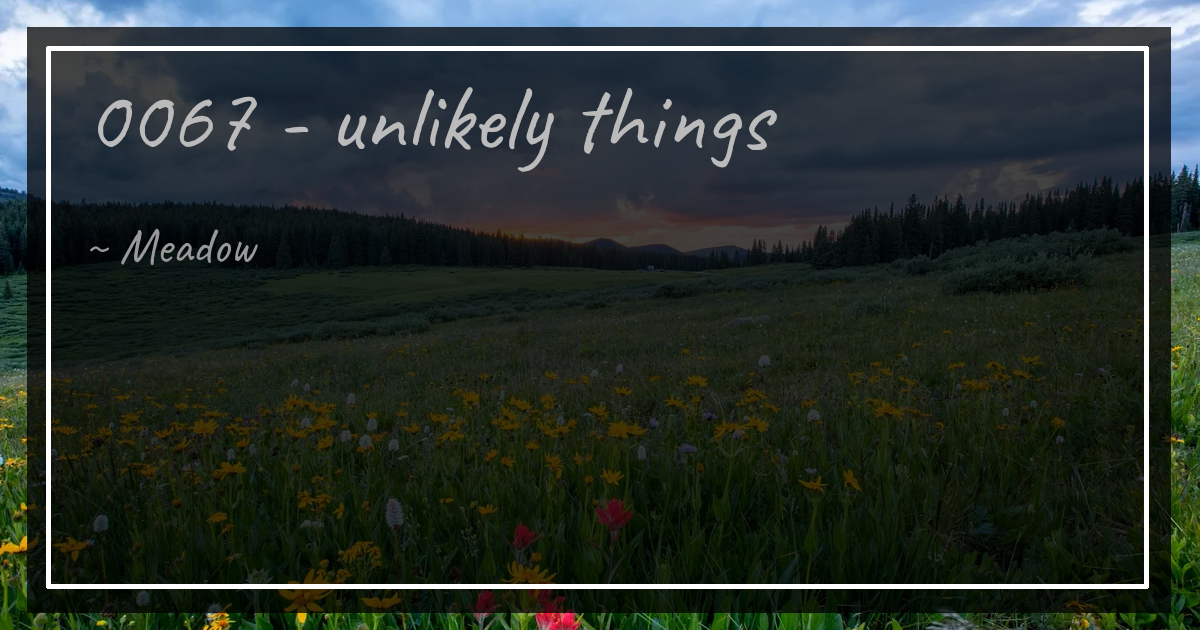 0067 - unlikely things